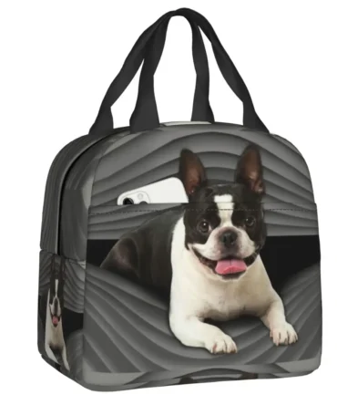 Boston Terrier Dog Portable Lunch Boxes for Women Leakproof Cute Puppy Thermal Cooler Food Insulated Lunch Bag School Student